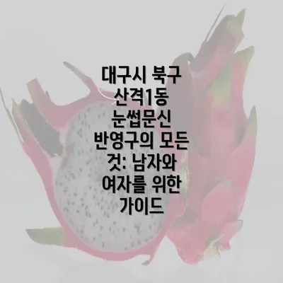 대구시 북구 산격1동 눈썹문신 반영구의 모든 것: 남자와 여자를 위한 가이드