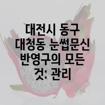 대전시 동구 대청동 눈썹문신 반영구의 모든 것: 관리