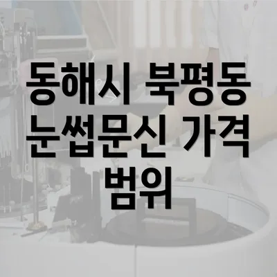 동해시 북평동 눈썹문신 가격 범위