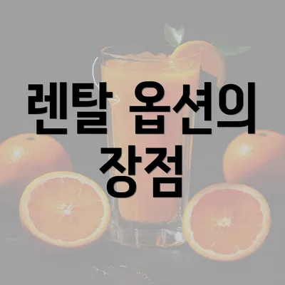 렌탈 옵션의 장점