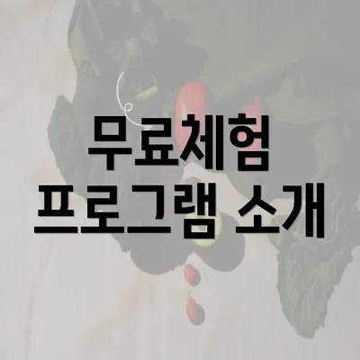 무료체험 프로그램 소개