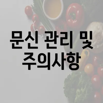 문신 관리 및 주의사항