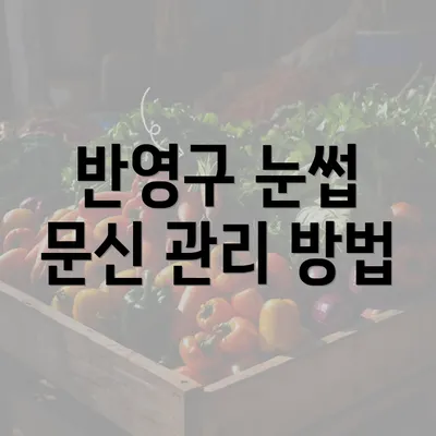 반영구 눈썹 문신 관리 방법