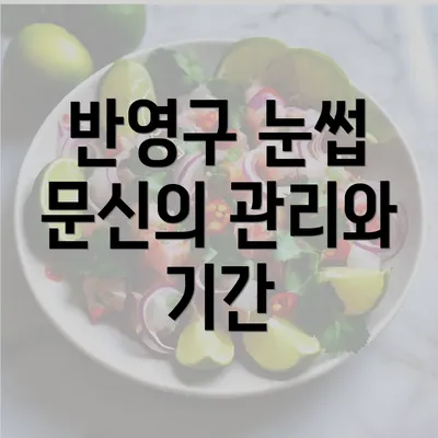 반영구 눈썹 문신의 관리와 기간