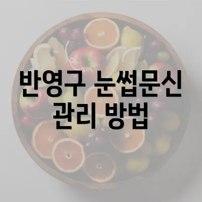 반영구 눈썹문신 관리 방법