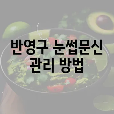 반영구 눈썹문신 관리 방법