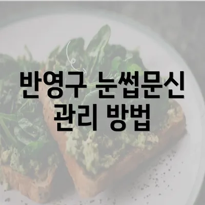 반영구 눈썹문신 관리 방법