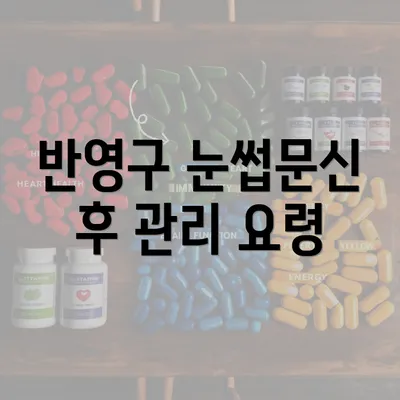 반영구 눈썹문신 후 관리 요령