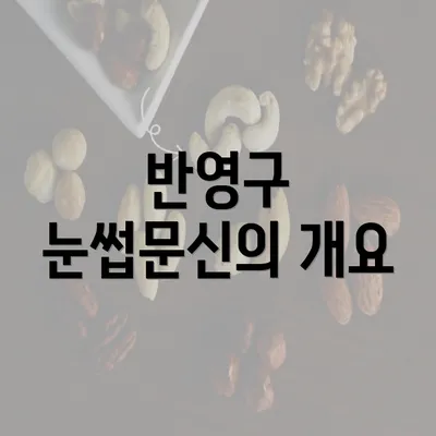 반영구 눈썹문신의 개요