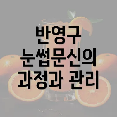 반영구 눈썹문신의 과정과 관리