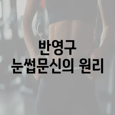 반영구 눈썹문신의 원리