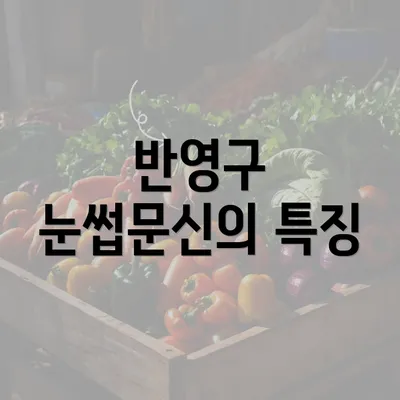 반영구 눈썹문신의 특징