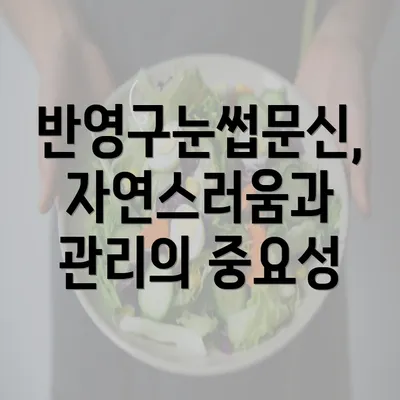 반영구눈썹문신, 자연스러움과 관리의 중요성