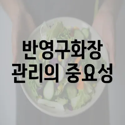 반영구화장 관리의 중요성