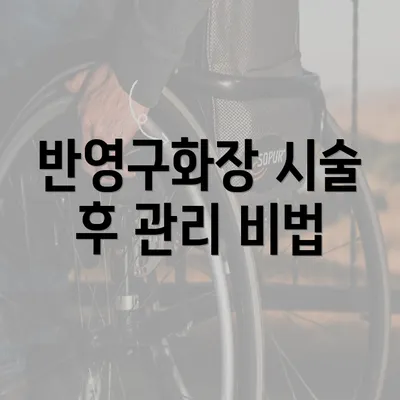 반영구화장 시술 후 관리 비법