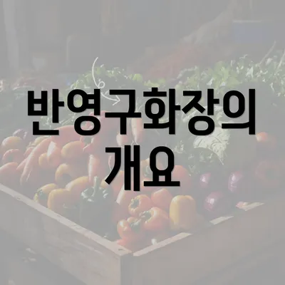 반영구화장의 개요