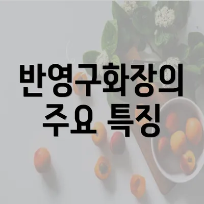 반영구화장의 주요 특징