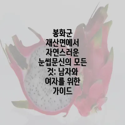 봉화군 재산면에서 자연스러운 눈썹문신의 모든 것: 남자와 여자를 위한 가이드