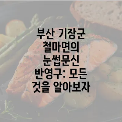 부산 기장군 철마면의 눈썹문신 반영구: 모든 것을 알아보자