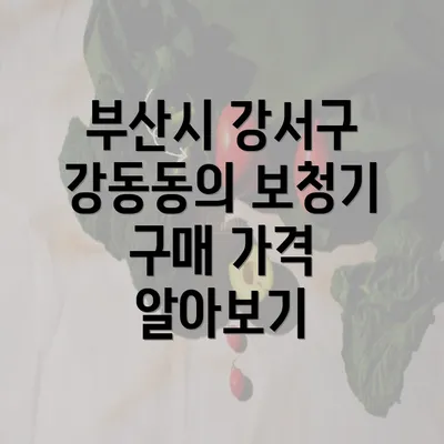 부산시 강서구 강동동의 보청기 구매 가격 알아보기