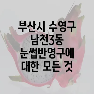 부산시 수영구 남천3동 눈썹반영구에 대한 모든 것