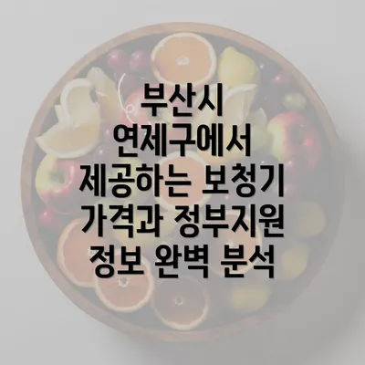 부산시 연제구에서 제공하는 보청기 가격과 정부지원 정보 완벽 분석