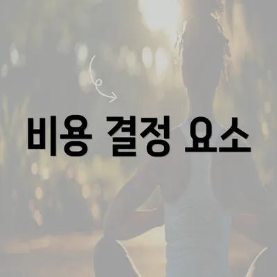 비용 결정 요소