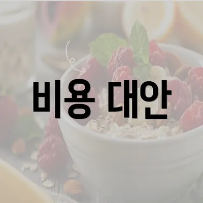 비용 대안