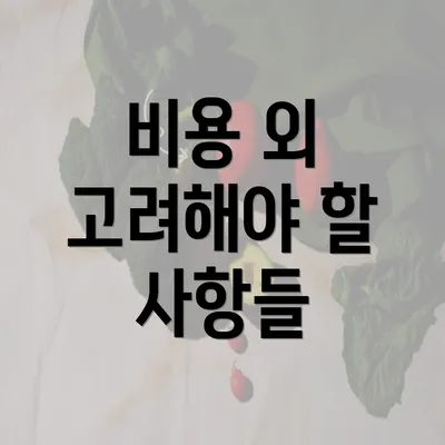 비용 외 고려해야 할 사항들