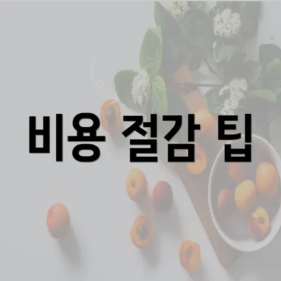 비용 절감 팁