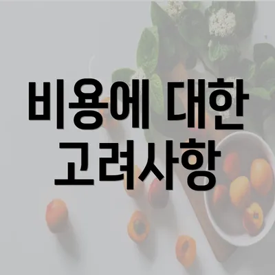 비용에 대한 고려사항