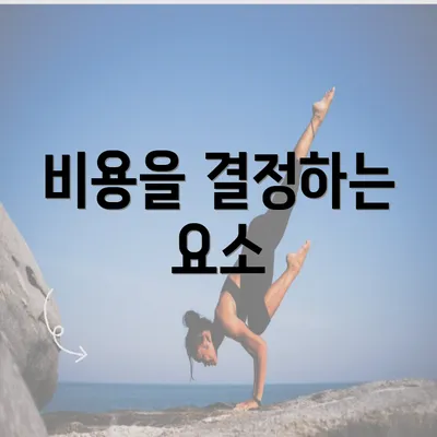 비용을 결정하는 요소