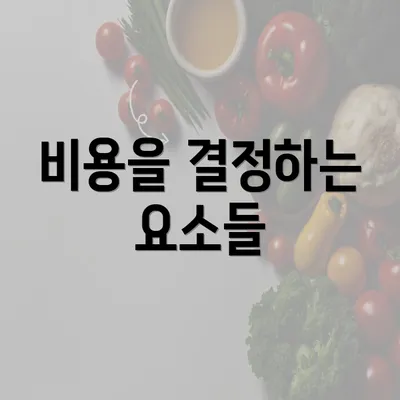 비용을 결정하는 요소들