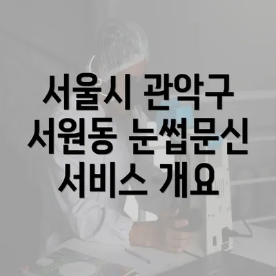 서울시 관악구 서원동 눈썹문신 서비스 개요