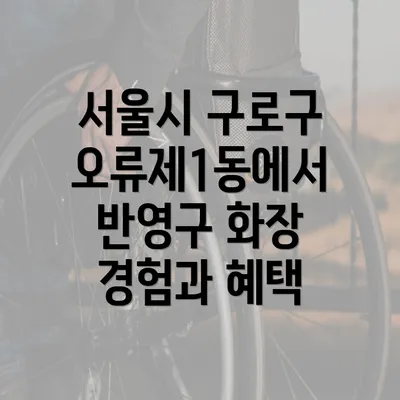 서울시 구로구 오류제1동에서 반영구 화장 경험과 혜택