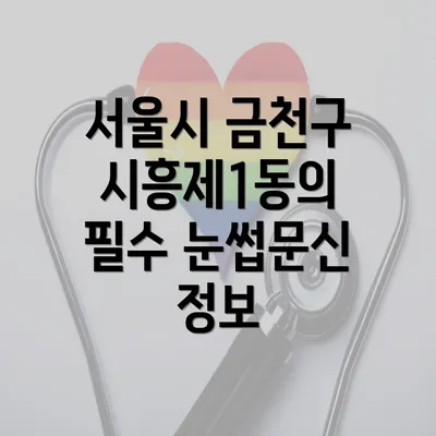 서울시 금천구 시흥제1동의 필수 눈썹문신 정보