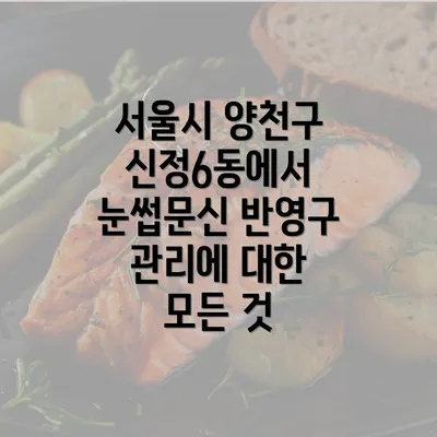 서울시 양천구 신정6동에서 눈썹문신 진행 과정