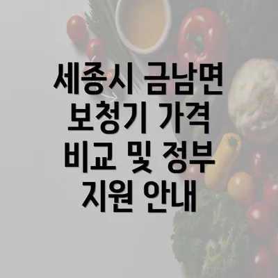 세종시 금남면 보청기 가격 비교 및 정부 지원 안내