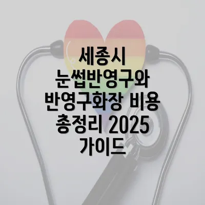 세종시 눈썹반영구와 반영구화장 비용 총정리 2025 가이드