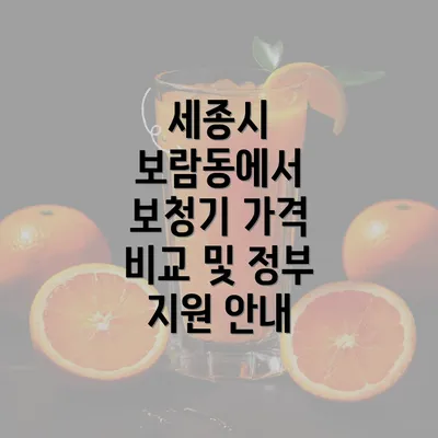 세종시 보람동에서 보청기 가격 비교 및 정부 지원 안내