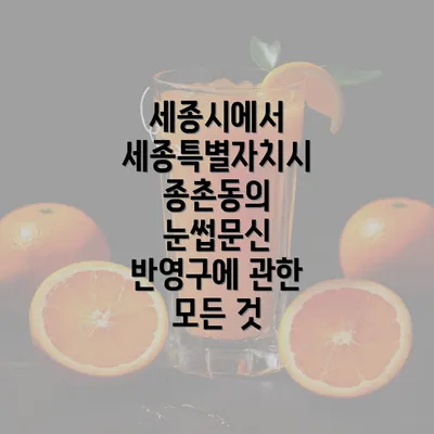 세종시에서 세종특별자치시 종촌동의 눈썹문신 반영구에 관한 모든 것