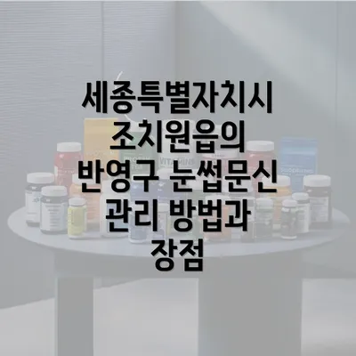 세종특별자치시 조치원읍의 반영구 눈썹문신 관리 방법과 장점