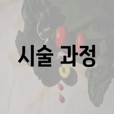 시술 과정