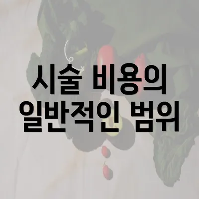 시술 비용의 일반적인 범위