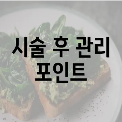 시술 후 관리 포인트