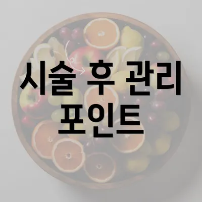 시술 후 관리 포인트