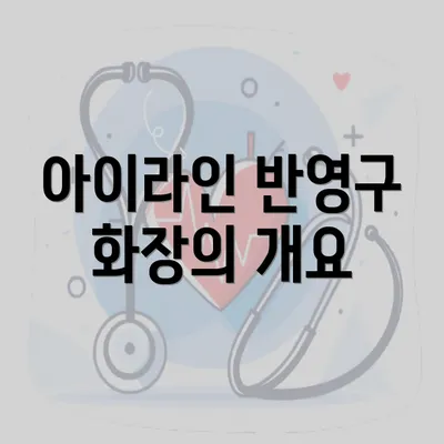 아이라인 반영구 화장의 개요