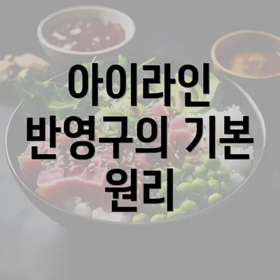 아이라인 반영구의 기본 원리