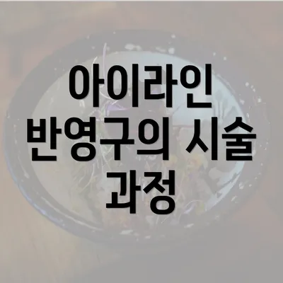 아이라인 반영구의 시술 과정