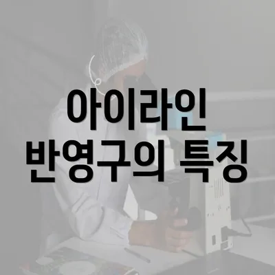 아이라인 반영구의 특징